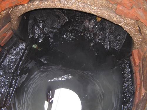 浩口原种场污水/雨水井清理